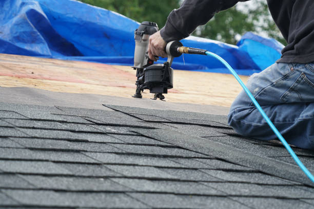 Best Storm Damage Roof Repair  in Doniphan, MO
