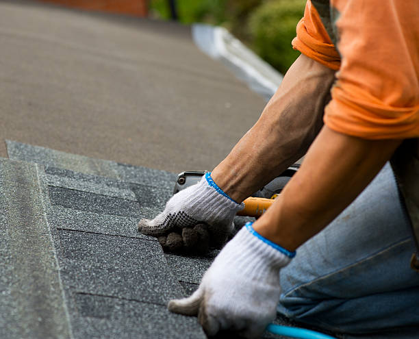 Best Shingle Roofing Installation  in Doniphan, MO
